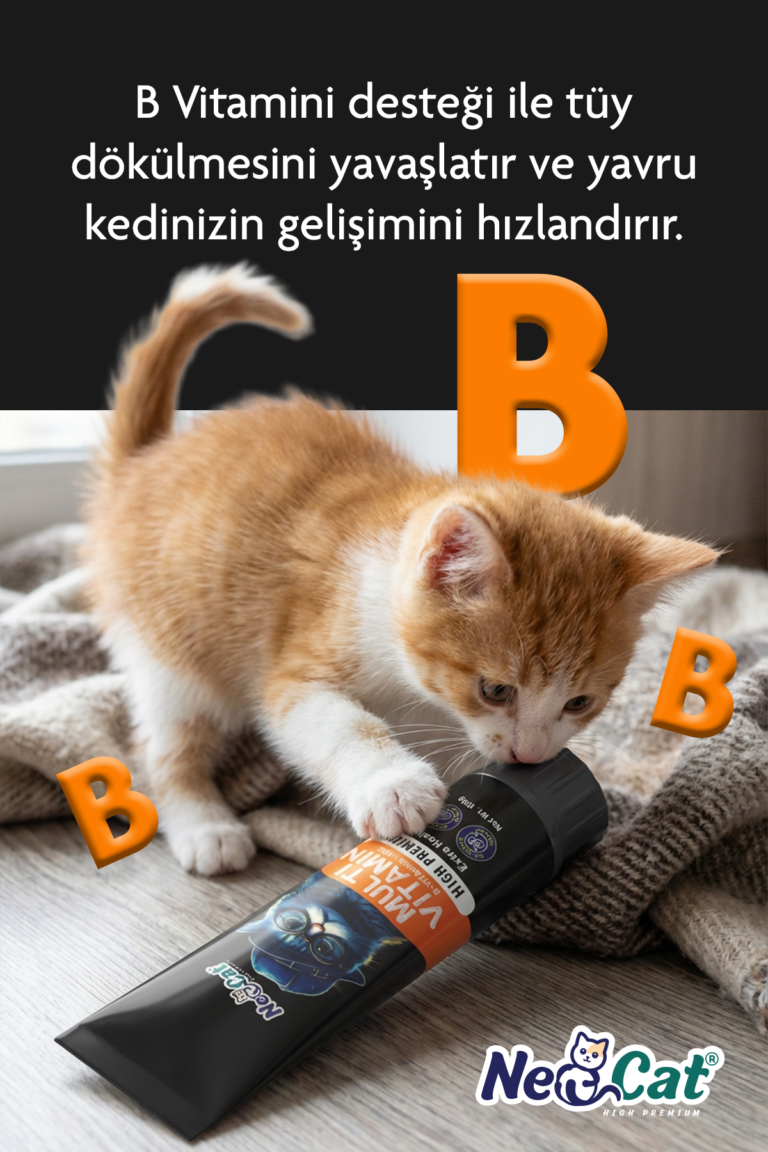 neocat-multivitamin5